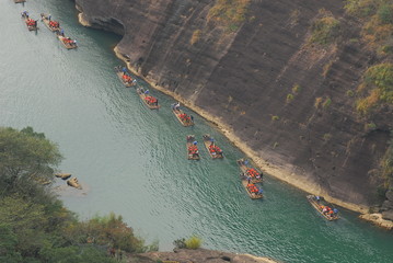 scientist英语怎么读