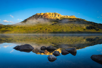 英语单词tree什么意思