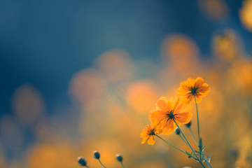 英语单词tree什么意思