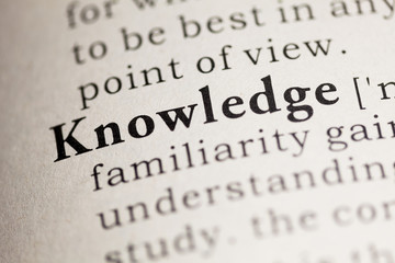 英语单词tree什么意思