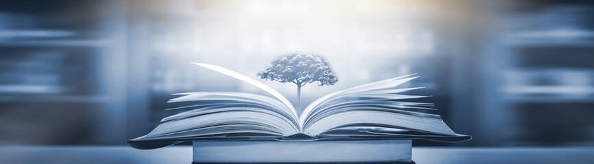 英语单词tree什么意思