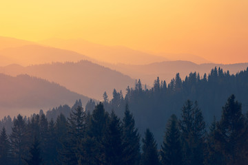 心理健康知识科普手抄报