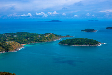 英语单词tree什么意思