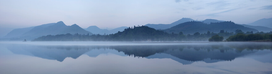 英语单词tree什么意思