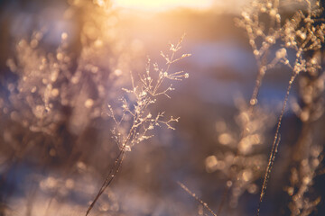中国最著名的十大书籍