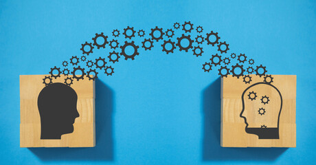 幼儿园的教育故事案例分析