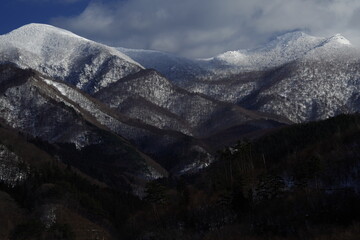 医疗行业有哪些项目