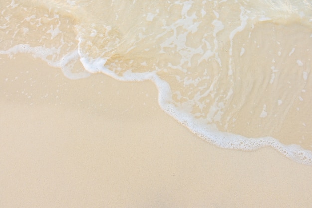 英语单词tree什么意思