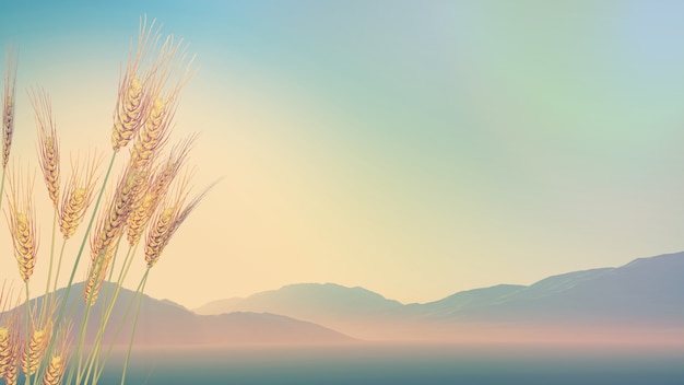 中国从古至今有多少个朝代-