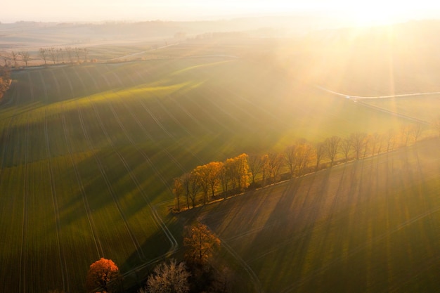 中国最著名的十大书籍